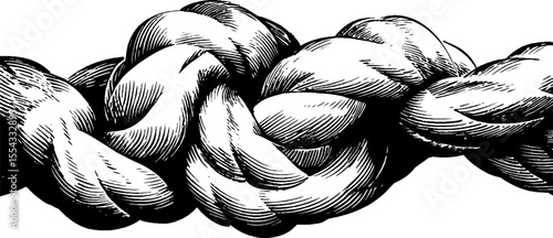 Intricate knotwork motif with rope twist design for creative projects
