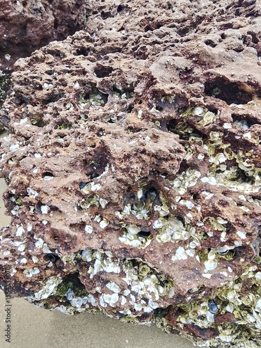 Sea, sandy beach, nature