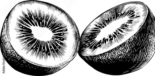Kiwi slice set with seed ring and fuzz texture illustration for fruit design