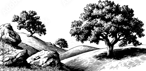 Tranquil landscape of rolling hills and solitary oak trees for design elements