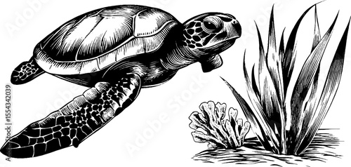 Sea turtle and seagrass art featuring flipper and aquatic plants for nautical decor