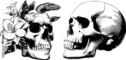 Floral skull art with snake and side profile