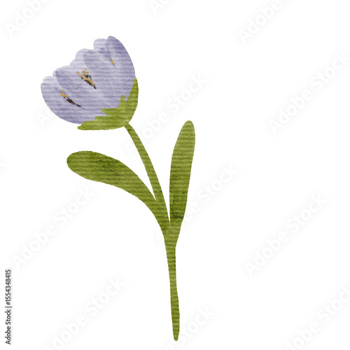 Watercolor Flower Illustration