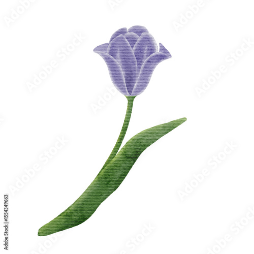 Watercolor Flower Illustration