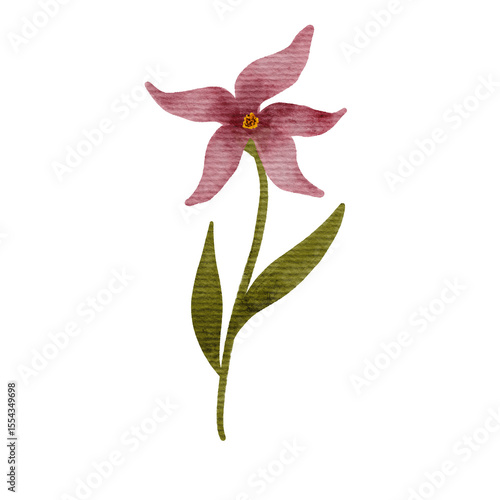 Watercolor Flower Illustration