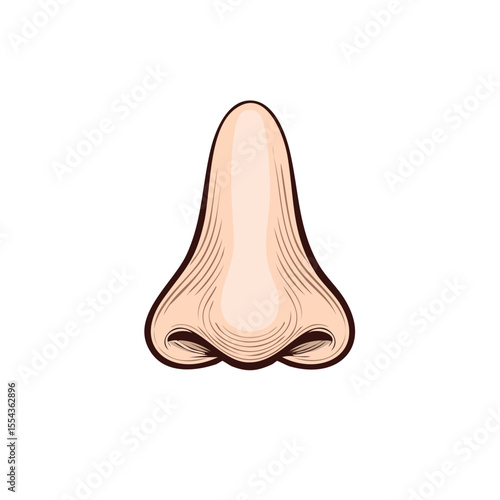 Detailed illustration of a human nose, showcasing its anatomical structure and features with fine lines.