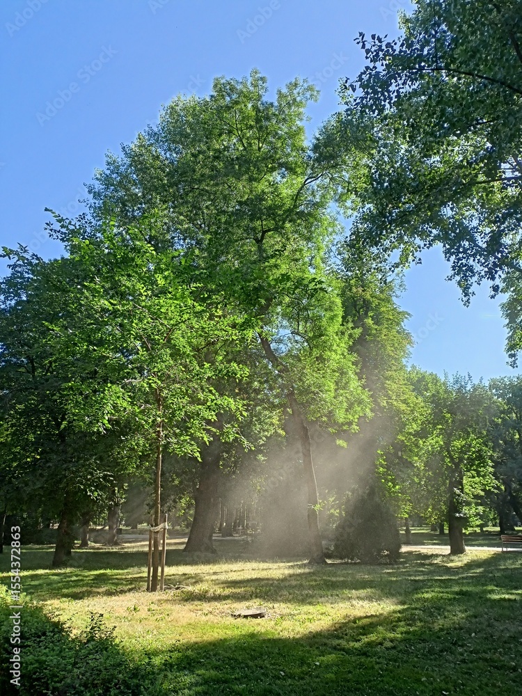 Obraz premium sun light playing with the dust 