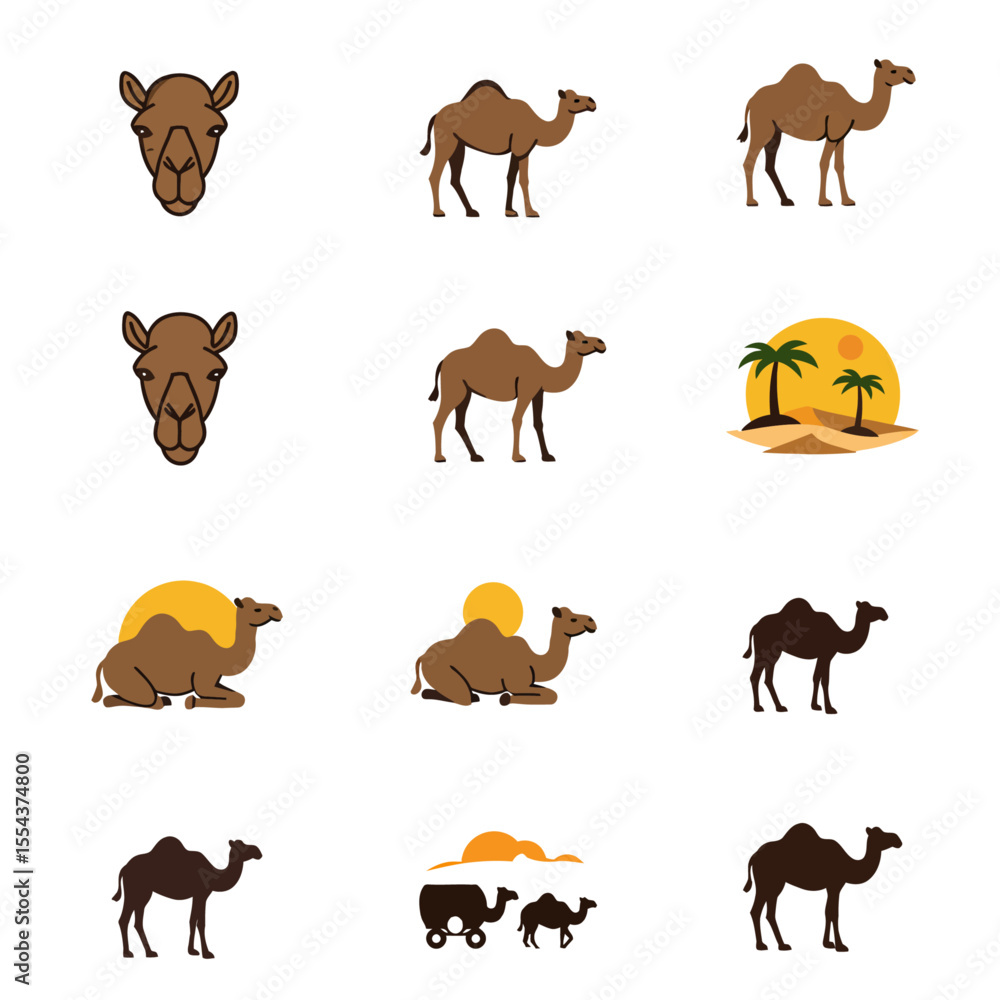 Obraz premium A collection of camel illustrations with varying poses and desert elements against a white background