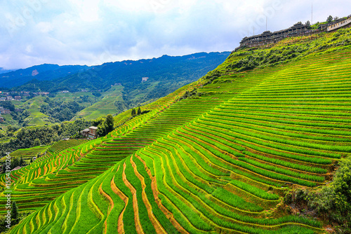 Fotografi rice terraces in Longji