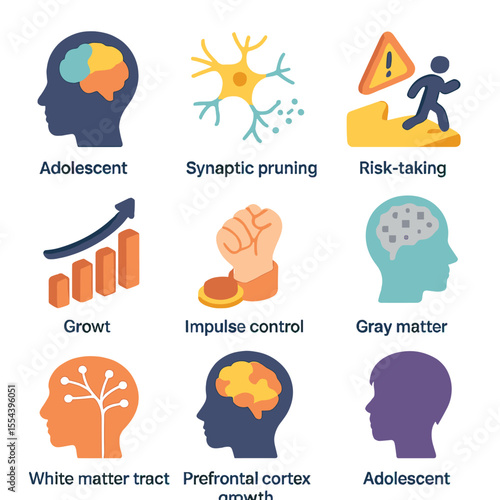 Adolescent Brain Icon Set. Isometric Flat icon set of developmental decision-making processes: adolescent brain silhouette,