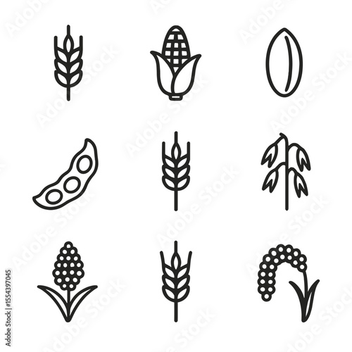 Agricultural Crop Icons. Outline icon set of agricultural crops: wheat stalk, corn ear, rice grain, soybean pod, barley head, oat