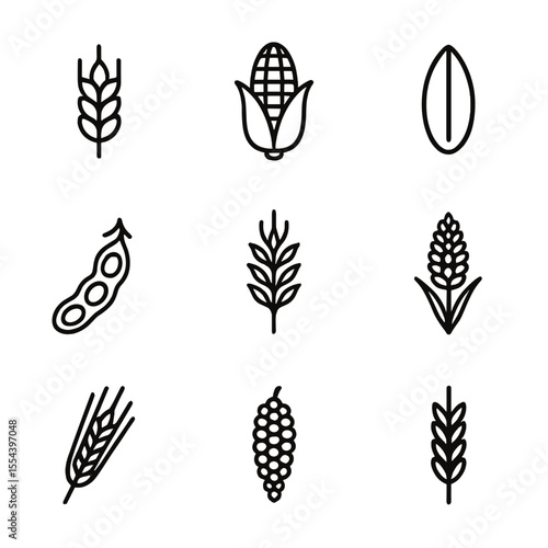 Agricultural Crop Icons. Outline icon set of agricultural crops: wheat stalk, corn ear, rice grain, soybean pod, barley head, oat