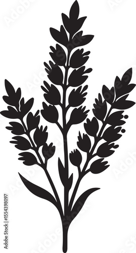 heather flower silhouette, black and white silhouette, vector and illustration