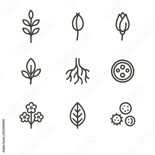Botanical Line Icon Set. Outline icon set of botanical line drawings: botanical stem, seed pod, flower bud, leaf bud, root tangle,
