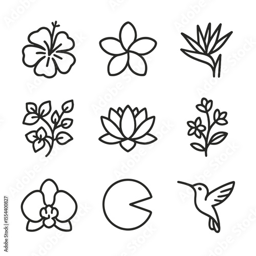 Floral Garden Icons. Outline icon set of Floral Garden Paradise: hibiscus flower, frangipani bloom, bird of paradise flower,