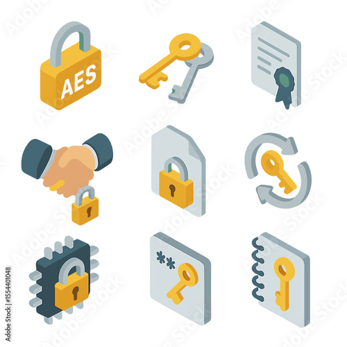 Encryption Icon Set. Isometric Flat icon set of encryption and key management: AES lock, RSA key pair, hardware security module,