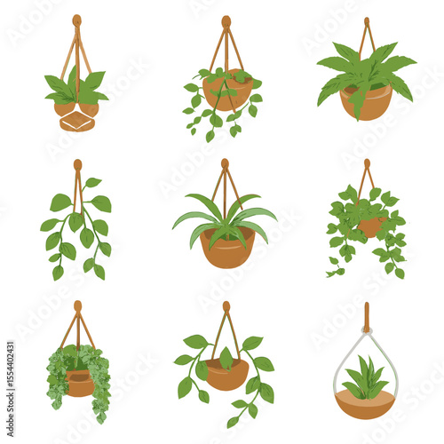 Isometric Hanging Plant Icons. Isometric Flat icon set of hanging potted plants: macramé hanger pot, string of hearts, Boston fern