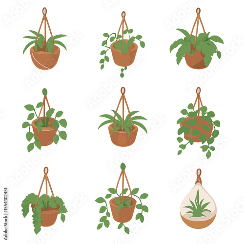 Isometric Hanging Plant Icons. Isometric Flat icon set of hanging potted plants: macramé hanger pot, string of hearts, Boston fern