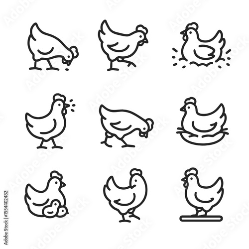 Chicken Behavior Icons. Outline icon set of chicken behaviors: pecking, scratching, dust bathing, roosting, clucking, foraging,