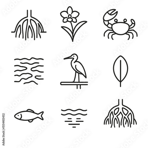 Mangrove Habitat Icons. Outline icon set of mangrove water habitats: mangrove root, epiphytic orchid, fiddler crab, mudflat