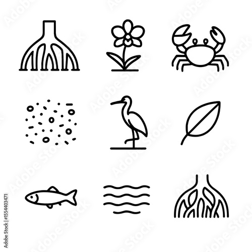 Mangrove Habitat Icons. Outline icon set of mangrove water habitats: mangrove root, epiphytic orchid, fiddler crab, mudflat