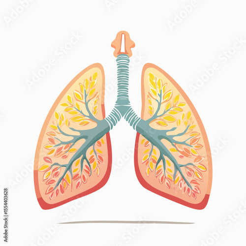 Vector Illustration of a Lung with Bold Black Outlines and Flat Colors – Modern Graphic Style Depicting Human Respiratory System in Clean and Minimalist Design