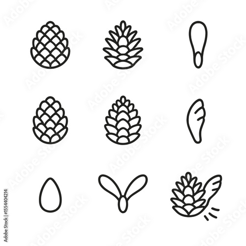 Pine Cone Icons. Outline icon set of pine cone and seeds: closed cone, open cone, seed wing, immature cone, mature cone, cone