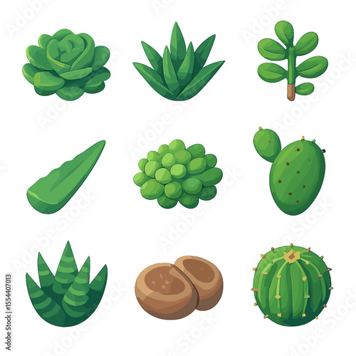 Succulent Icon Collection. Isometric Flat icon set of succulent and cactus selection: echeveria rosette, agave plant, jade plant,