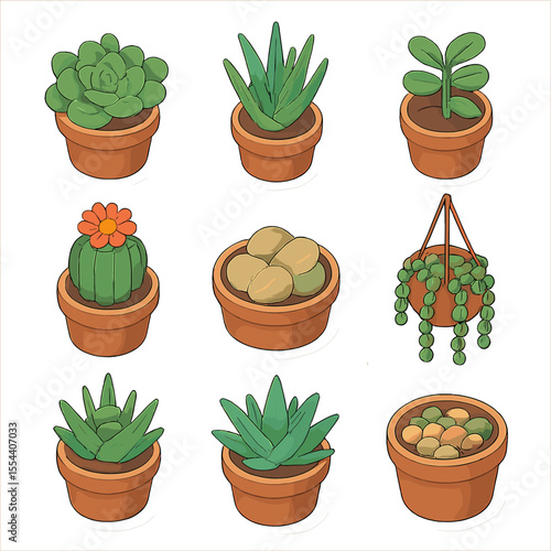 Succulent Icon Collection. Isometric Flat icon set of succulent and cacti potted collection: echeveria rosette, aloe vera pot,