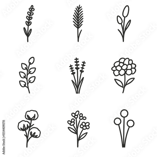 Dried Flower Icons. Outline icon set of Dried Flower Varieties: lavender sprig, pampas grass plume, bunny tail grass, wheat stalk