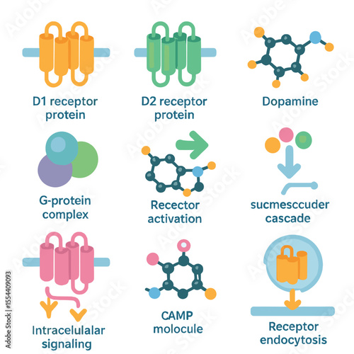 Dopamine Receptor Icons. Isometric Flat icon set of Dopamine Receptors and Binding: D1 receptor protein, D2 receptor protein,