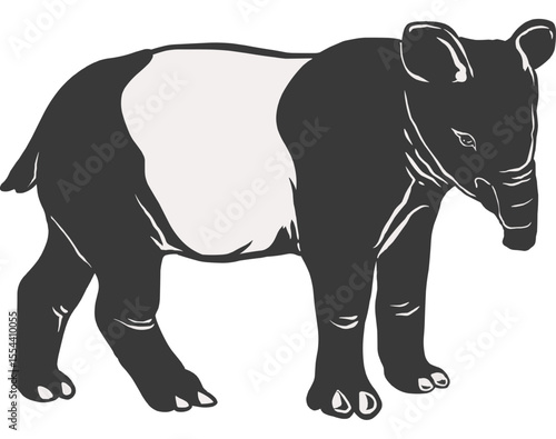 Illustration of a Malayan Tapir