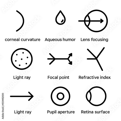 Eye Refraction Icons. Outline icon set of light refraction in eye: corneal curvature, aqueous humor, lens focusing, vitreous humor