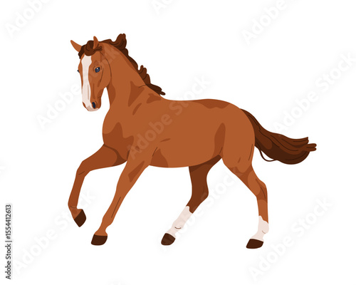 Horse in movement. Graceful American Quarter breed, purebred stallion, equine animal, mane and tail. Beautiful thoroughbred in motion, action. Flat vector illustration isolated on white background