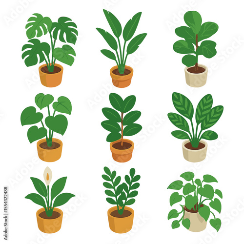 Indoor Plant Icon Set. Isometric Flat icon set of indoor tropical potted plants: monstera deliciosa, bird of paradise, fiddle leaf