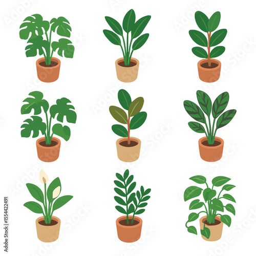 Indoor Plant Icon Set. Isometric Flat icon set of indoor tropical potted plants: monstera deliciosa, bird of paradise, fiddle leaf