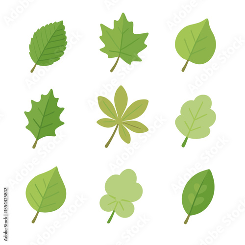 Leaf Icon Grid. Isometric Flat icon set of leaf identification: elm leaf, sycamore leaf, aspen leaf, holly leaf, chestnut leaf,