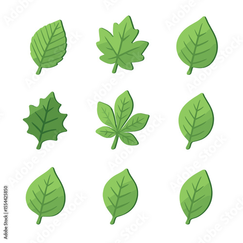 Leaf Icon Grid. Isometric Flat icon set of leaf identification: elm leaf, sycamore leaf, aspen leaf, holly leaf, chestnut leaf,