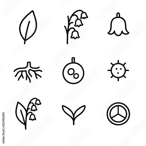 Lily Anatomy Icon Set. Outline icon set of Botanical Anatomy of Lily of the Valley: leaf blade, flowering stem, bell-shaped flower