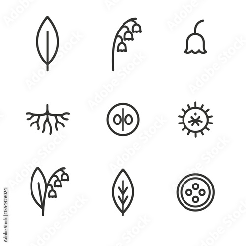 Lily Anatomy Icon Set. Outline icon set of Botanical Anatomy of Lily of the Valley: leaf blade, flowering stem, bell-shaped flower