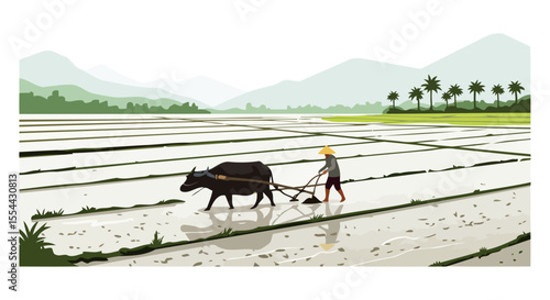 Tranquil Rice Paddy Farming Scene Asian Farmer with Water Buffalo