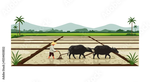 Picturesque Rice Paddy Farming Scene Water Buffaloes Plowing a Lush Field