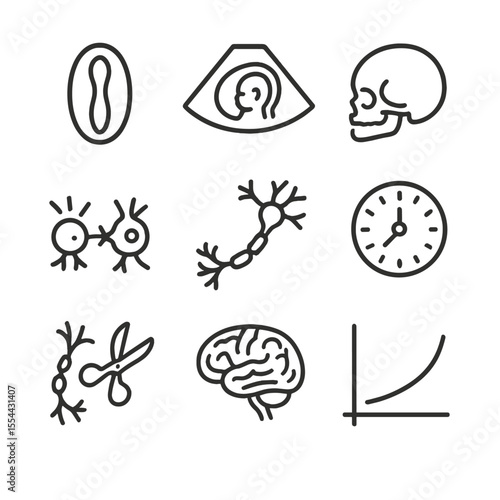 Neuroscience Icon Set. Outline icon set of developmental neuroscience: neural tube, fetal brain ultrasound, newborn skull,