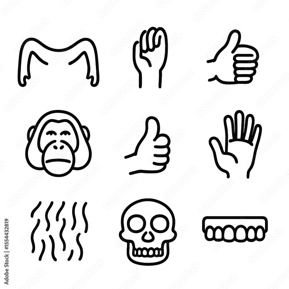 Fototapeta premium Orangutan Anatomy Icons. Outline icon set of orangutan anatomy: long arms, grasping hands, flexible wrists, facial features, thumb