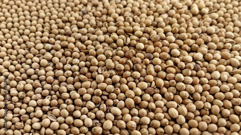 AI Generated Cinematic Pan Shot of Dried Coriander Seeds for Culinary Use Footage AI Generated Cinematic Pan Shot of Dried Coriander Seeds for Culinary Use Footage