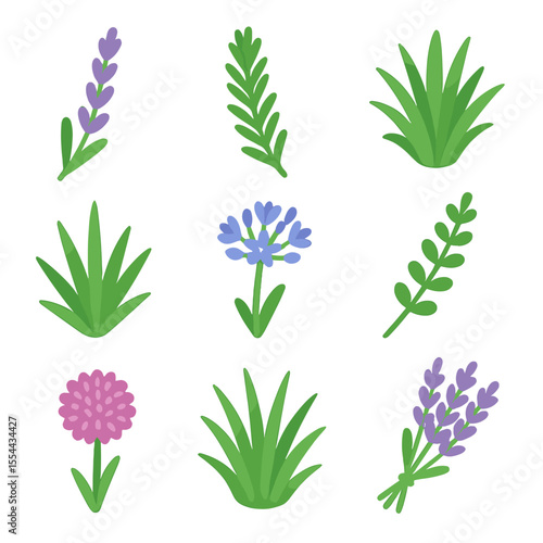 Isometric Plant Icon Set. Isometric Flat icon set of companion and accent plants: lavender sprig, rosemary stalk, ornamental grass