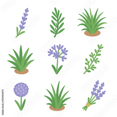 Isometric Plant Icon Set. Isometric Flat icon set of companion and accent plants: lavender sprig, rosemary stalk, ornamental grass