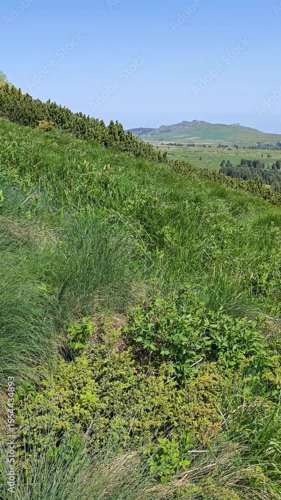 Amazing Spring Panorama of Vitosha Mountain, Bulgaria Amazing Spring Panorama of Vitosha Mountain, Bulgaria