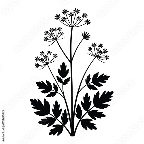 Elegant Black and White Wildflower Illustration with Detailed Leaves