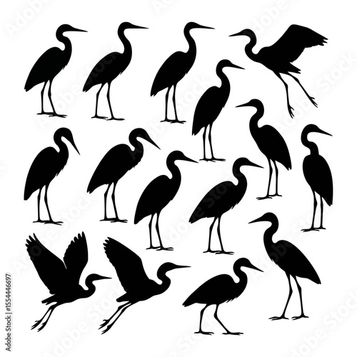 Silhouette illustrations of various egret in different poses, showcasing their forms and flight.